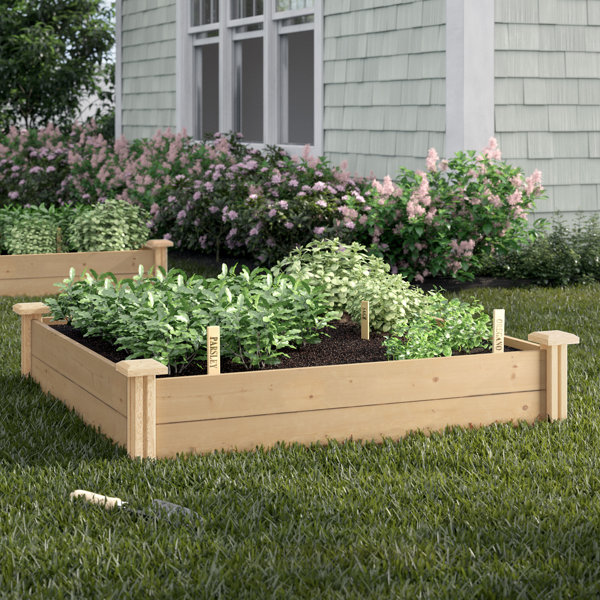 Raised Deep Garden Bed Wayfair
